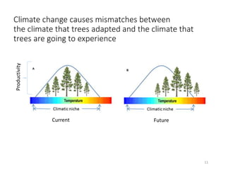 Climate Modeling for the Asia-Pacific