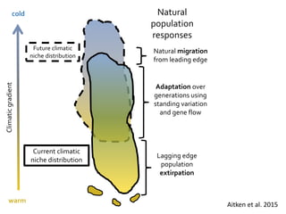 Climate Modeling for the Asia-Pacific