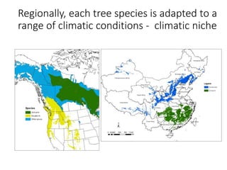 Climate Modeling for the Asia-Pacific
