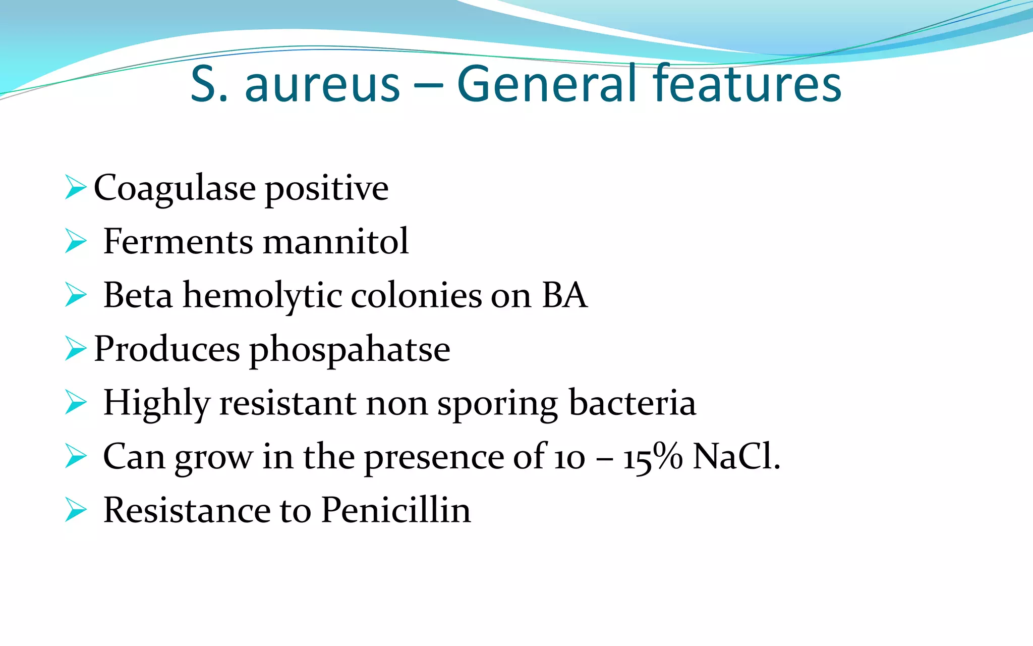 S. aureus – General features
Coagulase positive
 Ferments mannitol
 Beta hemolytic colonies on BA
Produces phospahatse
 Highly resistant non sporing bacteria
 Can grow in the presence of 10 – 15% NaCl.
 Resistance to Penicillin
 