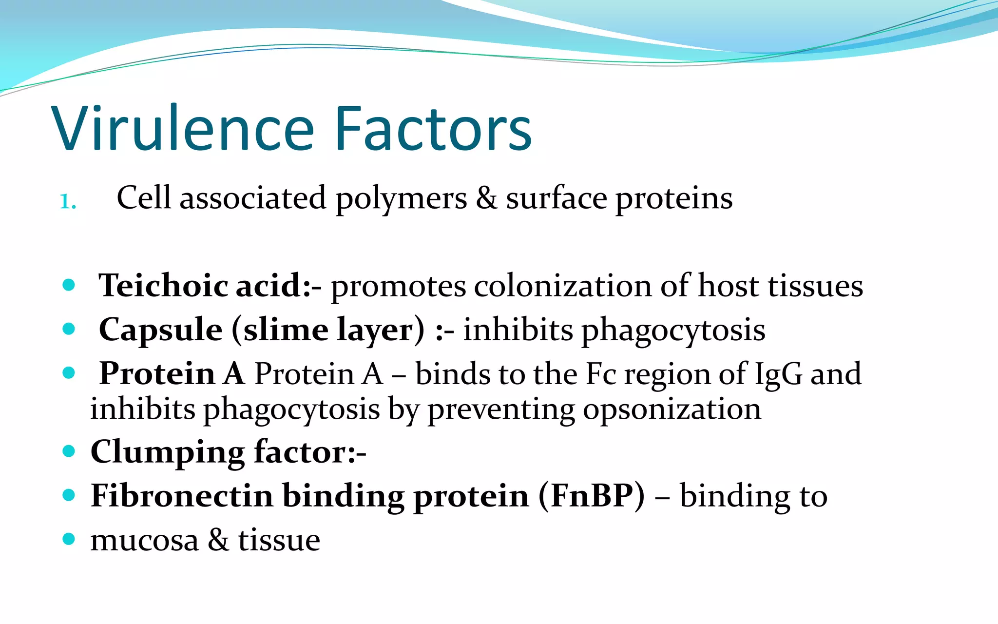 Virulence Factors
1. Cell associated polymers & surface proteins
 Teichoic acid:- promotes colonization of host tissues
 Capsule (slime layer) :- inhibits phagocytosis
 Protein A Protein A – binds to the Fc region of IgG and
inhibits phagocytosis by preventing opsonization
 Clumping factor:-
 Fibronectin binding protein (FnBP) – binding to
 mucosa & tissue
 