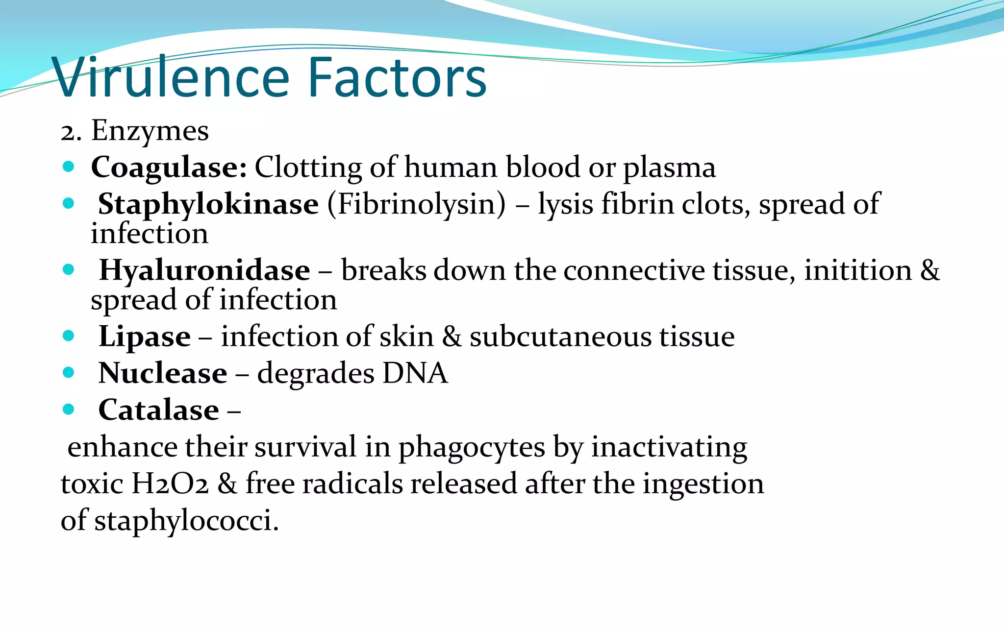 Virulence Factors
2. Enzymes
 Coagulase: Clotting of human blood or plasma
 Staphylokinase (Fibrinolysin) – lysis fibrin clots, spread of
infection
 Hyaluronidase – breaks down the connective tissue, initition &
spread of infection
 Lipase – infection of skin & subcutaneous tissue
 Nuclease – degrades DNA
 Catalase –
enhance their survival in phagocytes by inactivating
toxic H2O2 & free radicals released after the ingestion
of staphylococci.
 