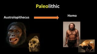 Paleolithic
HomoAustralopithecus
 