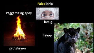 Paleolithic
Paggamit ng apoy
proteksyon
lamig
hayop
 