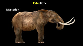 Paleolithic
Mastodon
 