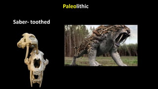 Paleolithic
Saber- toothed
 