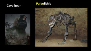 Paleolithic
Cave bear
 