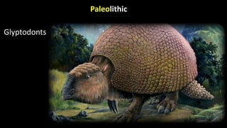 Paleolithic
Glyptodonts
 