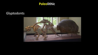 Paleolithic
Glyptodonts
 