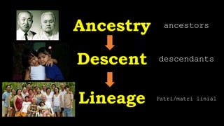 Ancestry
Descent
Lineage
ancestors
descendants
Patri/matri linial
 