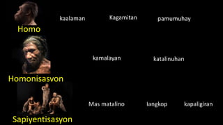 Homo
Kagamitan pamumuhaykaalaman
Homonisasyon
kamalayan katalinuhan
Mas matalino
Sapiyentisasyon
Iangkop kapaligiran
 