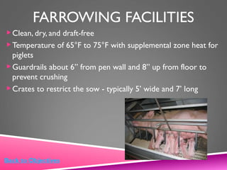FARROWING FACILITIES
Clean, dry, and draft-free
Temperature of 65°F to 75°F with supplemental zone heat for
piglets
Guardrails about 6” from pen wall and 8” up from floor to
prevent crushing
Crates to restrict the sow - typically 5’ wide and 7’ long
Back to Objectives
 
