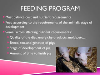 FEEDING PROGRAM
Must balance cost and nutrient requirements
Feed according to the requirements of the animal’s stage of
development
Some factors affecting nutrient requirements:
Quality of the diet: energy, by-products, molds, etc…
Breed, sex, and genetics of pigs
Stage of development of pig
Amount of time to finish pig
 