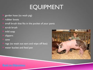 EQUIPMENT
 garden hose (to wash pig)
 rubber boots
 small brush that fits in the pocket of your pants
 scrub brush
 mild soap
 clippers
 cane
 rags (to wash out ears and wipe off feet)
 water bucket and feed pan
Back to Objectives
 
