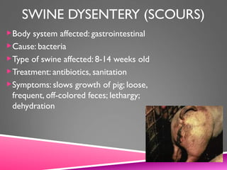 SWINE DYSENTERY (SCOURS)
Body system affected: gastrointestinal
Cause: bacteria
Type of swine affected: 8-14 weeks old
Treatment: antibiotics, sanitation
Symptoms: slows growth of pig; loose,
frequent, off-colored feces; lethargy;
dehydration
 