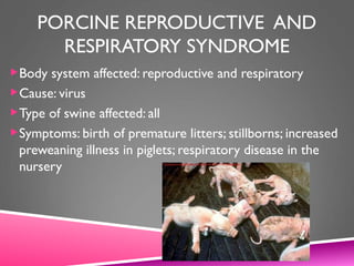 PORCINE REPRODUCTIVE AND
RESPIRATORY SYNDROME
Body system affected: reproductive and respiratory
Cause: virus
Type of swine affected: all
Symptoms: birth of premature litters; stillborns; increased
preweaning illness in piglets; respiratory disease in the
nursery
 