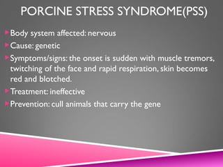 PORCINE STRESS SYNDROME(PSS)
Body system affected: nervous
Cause: genetic
Symptoms/signs: the onset is sudden with muscle tremors,
twitching of the face and rapid respiration, skin becomes
red and blotched.
Treatment: ineffective
Prevention: cull animals that carry the gene
 