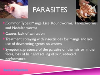 PARASITES
Common Types: Mange, Lice, Roundworms, Threadworms,
and Nodular worms
Causes: lack of sanitation
Treatment: spraying with insecticides for mange and lice
use of deworming agents on worms
Symptoms: presence of the parasite on the hair or in the
feces, loss of hair and scaling of skin, reduced
performance.
Back to Objectives
 