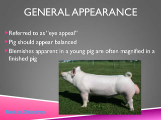 GENERAL APPEARANCE
Referred to as “eye appeal”
Pig should appear balanced
Blemishes apparent in a young pig are often magnified in a
finished pig
Back to Objectives
 