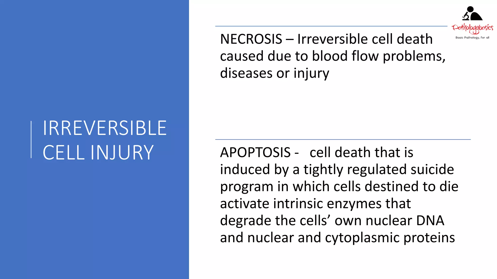 Ch 2 adaptations, cell injury, cell death | PPTX