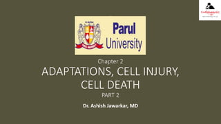Chapter 2
ADAPTATIONS, CELL INJURY,
CELL DEATH
PART 2
Dr. Ashish Jawarkar, MD
 
