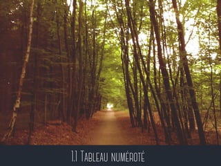 1.1 Tableau numéroté
 