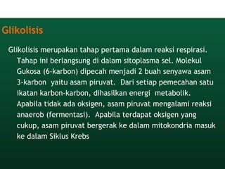Glikolisis
Glikolisis merupakan tahap pertama dalam reaksi respirasi. 
Tahap ini berlangsung di dalam sitoplasma sel. Molekul
Gukosa (6-karbon) dipecah menjadi 2 buah senyawa asam
3-karbon yaitu asam piruvat.  Dari setiap pemecahan satu
ikatan karbon-karbon, dihasilkan energi metabolik. 
Apabila tidak ada oksigen, asam piruvat mengalami reaksi
anaerob (fermentasi).  Apabila terdapat oksigen yang
cukup, asam piruvat bergerak ke dalam mitokondria masuk
ke dalam Siklus Krebs
 