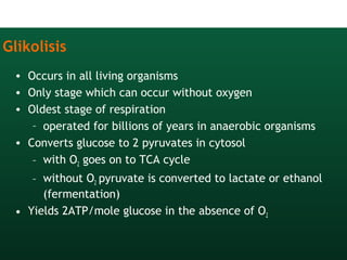 Glikolisis
• Occurs in all living organisms
• Only stage which can occur without oxygen
• Oldest stage of respiration
– operated for billions of years in anaerobic organisms
• Converts glucose to 2 pyruvates in cytosol
– with O2 goes on to TCA cycle
– without O2 pyruvate is converted to lactate or ethanol
(fermentation)
• Yields 2ATP/mole glucose in the absence of O2
 