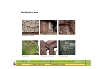 4. Levantamientos de Información
        4.6 Levantamiento de Lesiones




            Perdidas de material




            Vegetación                        Rastros de humedad               Esflorescencias



                          Facultad de Arquitectura y Urbanismo   Departamento de Ciencias de la Construcción
Universidad De Chile                                                                                           138
                                                                                                                     FICHA
Patología                 Ex Cervecería Andrés Ebner             Levantamiento de lesiones
 