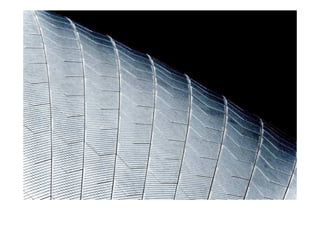 3talca   tipologias constructivas