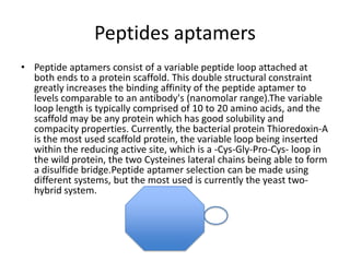 Peptides aptamers
• Peptide aptamers consist of a variable peptide loop attached at
both ends to a protein scaffold. This double structural constraint
greatly increases the binding affinity of the peptide aptamer to
levels comparable to an antibody's (nanomolar range).The variable
loop length is typically comprised of 10 to 20 amino acids, and the
scaffold may be any protein which has good solubility and
compacity properties. Currently, the bacterial protein Thioredoxin-A
is the most used scaffold protein, the variable loop being inserted
within the reducing active site, which is a -Cys-Gly-Pro-Cys- loop in
the wild protein, the two Cysteines lateral chains being able to form
a disulfide bridge.Peptide aptamer selection can be made using
different systems, but the most used is currently the yeast twohybrid system.

 