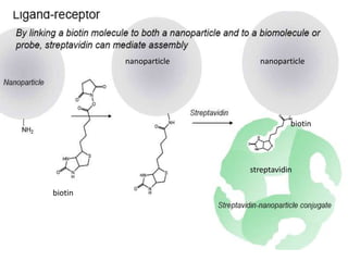 nanoparticle

nanoparticle

biotin

streptavidin
biotin

 