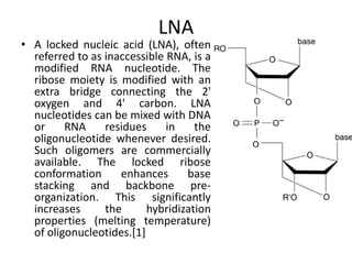 LNA

• A locked nucleic acid (LNA), often
referred to as inaccessible RNA, is a
modified RNA nucleotide. The
ribose moiety is modified with an
extra bridge connecting the 2'
oxygen and 4' carbon. LNA
nucleotides can be mixed with DNA
or
RNA
residues
in
the
oligonucleotide whenever desired.
Such oligomers are commercially
available. The locked ribose
conformation
enhances
base
stacking and backbone preorganization. This significantly
increases
the
hybridization
properties (melting temperature)
of oligonucleotides.[1]

 