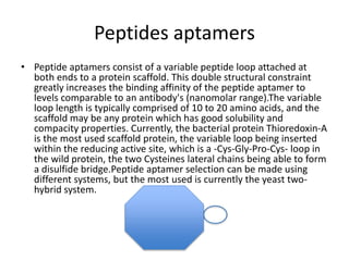 Peptides aptamers
• Peptide aptamers consist of a variable peptide loop attached at
both ends to a protein scaffold. This double structural constraint
greatly increases the binding affinity of the peptide aptamer to
levels comparable to an antibody's (nanomolar range).The variable
loop length is typically comprised of 10 to 20 amino acids, and the
scaffold may be any protein which has good solubility and
compacity properties. Currently, the bacterial protein Thioredoxin-A
is the most used scaffold protein, the variable loop being inserted
within the reducing active site, which is a -Cys-Gly-Pro-Cys- loop in
the wild protein, the two Cysteines lateral chains being able to form
a disulfide bridge.Peptide aptamer selection can be made using
different systems, but the most used is currently the yeast two-
hybrid system.
 