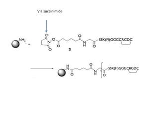 +
Via succinimide
 