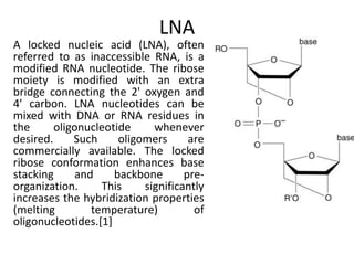 LNA
A locked nucleic acid (LNA), often
referred to as inaccessible RNA, is a
modified RNA nucleotide. The ribose
moiety is modified with an extra
bridge connecting the 2' oxygen and
4' carbon. LNA nucleotides can be
mixed with DNA or RNA residues in
the oligonucleotide whenever
desired. Such oligomers are
commercially available. The locked
ribose conformation enhances base
stacking and backbone pre-
organization. This significantly
increases the hybridization properties
(melting temperature) of
oligonucleotides.[1]
 