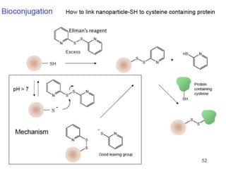 Ellman’s reagent
 