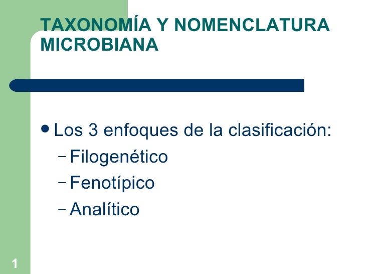 3 taxynomenclaturapr09