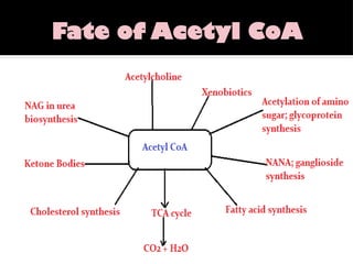 Fate of Acetyl CoA
 