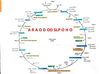 A R A O D OD SLP O H O
 