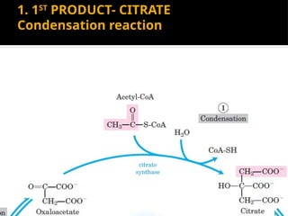 1. 1ST
PRODUCT- CITRATE
Condensation reaction
 