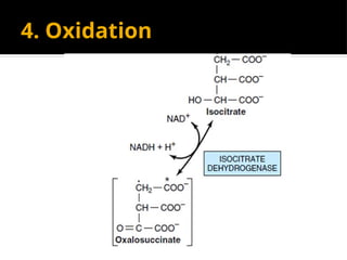 4. Oxidation
 