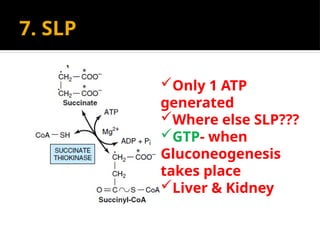 7. SLP
Only 1 ATP
generated
Where else SLP???
GTP- when
Gluconeogenesis
takes place
Liver & Kidney
 