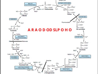A R A O D OD SLP O H O
 