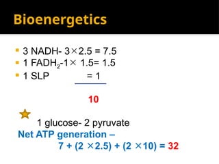 Bioenergetics
 3 NADH- 32.5 = 7.5
 1 FADH2-1 1.5= 1.5
 1 SLP = 1
10
1 glucose- 2 pyruvate
Net ATP generation –
7 + (2 2.5) + (2 10) = 32
 