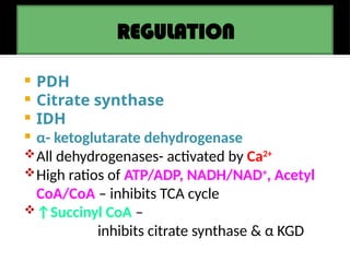 REGULATION
 PDH
 Citrate synthase
 IDH
 α- ketoglutarate dehydrogenase
All dehydrogenases- activated by Ca2+
High ratios of ATP/ADP, NADH/NAD+
, Acetyl
CoA/CoA – inhibits TCA cycle
↑Succinyl CoA –
inhibits citrate synthase & α KGD
 