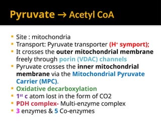 Pyruvate → Acetyl CoA
 Site : mitochondria
 Transport: Pyruvate transporter (H+
symport);
 It crosses the outer mitochondrial membrane
freely through porin (VDAC) channels
 Pyruvate crosses the inner mitochondrial
membrane via the Mitochondrial Pyruvate
Carrier (MPC).
 Oxidative decarboxylation
 1st
c atom lost in the form of CO2
 PDH complex- Multi-enzyme complex
 3 enzymes & 5 Co-enzymes
 