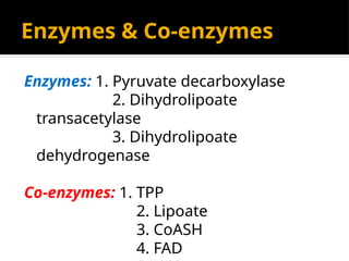 Enzymes & Co-enzymes
Enzymes: 1. Pyruvate decarboxylase
2. Dihydrolipoate
transacetylase
3. Dihydrolipoate
dehydrogenase
Co-enzymes: 1. TPP
2. Lipoate
3. CoASH
4. FAD
 