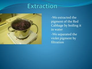 -We extracted the
pigment of the Red
Cabbage by boiling it
in water
-We separated the
violet pigment by
filtration
 