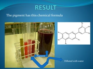 The pigment has this chemical formula
Pigment
Dilluted with water
 